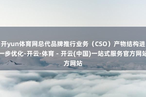 开yun体育网总代品牌推行业务（CSO）产物结构进一步优化-开云·体育 - 开云(中国)一站式服务官方网站
